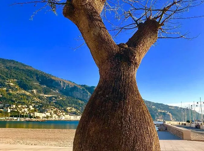 Διαμέρισμα Longue 1